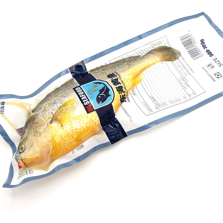 Frozen Yellow Croaker<br> 急凍東海黃魚