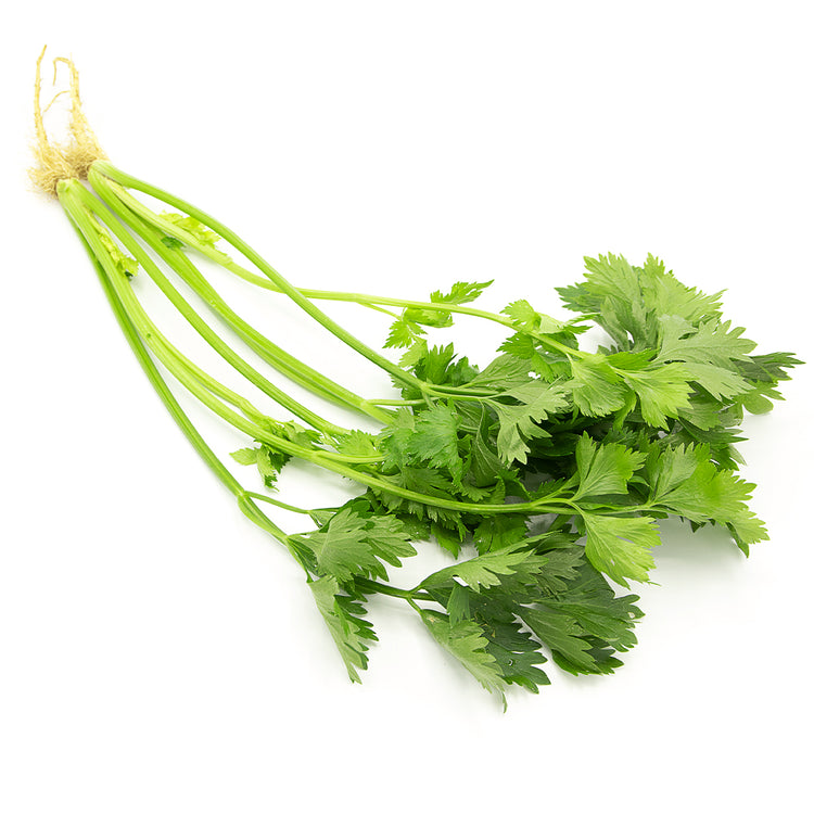 Parsley<br> 香芹