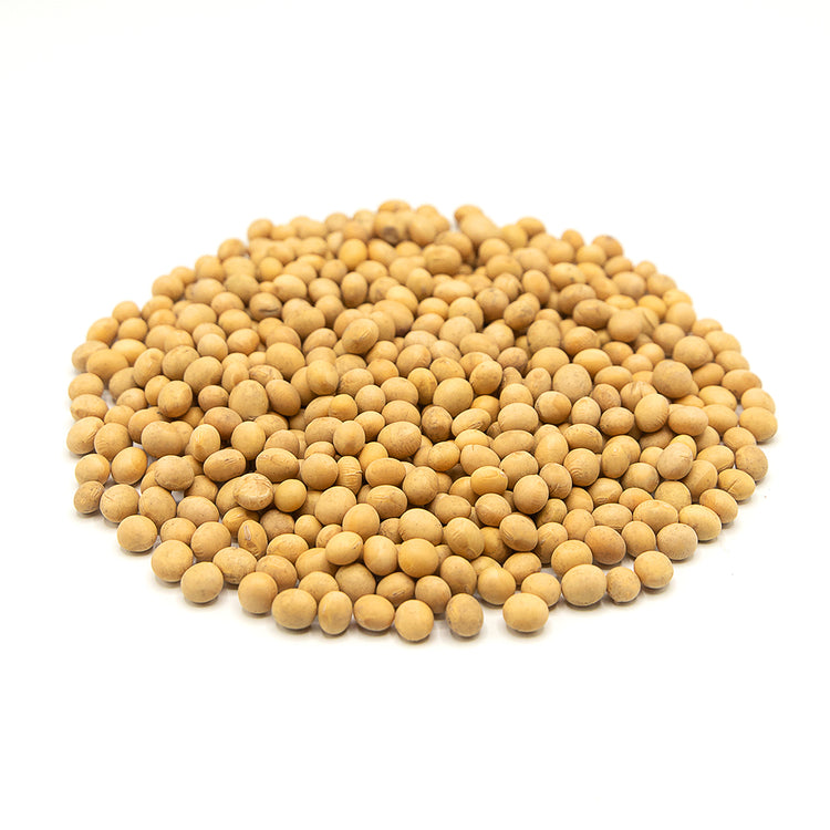 Soybean<br> 美國大黃豆<br> $1.09/lb