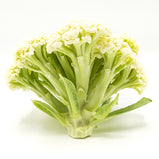 Caulilini Sweet Stem Cauliflower<br> 散椰菜花<br> $2.09/lb