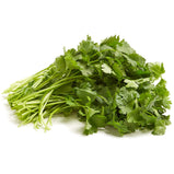 Coriander<br> 芫荽