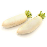 Daikon<br> 白蘿蔔<br> 99¢/lb