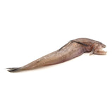 Fresh Bombay Duck Fish<br> 新鮮九肚魚<br> $8.99/lb