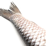 Fresh Grass Fish Steak<br> 新鮮脆肉鯇魚排<br> 19.99/lb