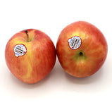 Fuji Apple<br> 富士蘋果<br> $1.09/lb