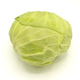 Japanese Cabbage<br> 日本椰菜<br> $1.09/lb