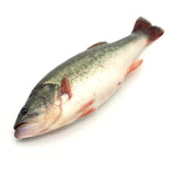 Live Bass Fish<br> 黑鲈魚 (盲曹)<br> $9.99/lb