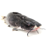 Live Cat Fish<br> 游水塘虱<br> $6.29/lb