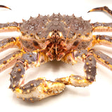 Live King Crab<br> 皇帝蟹<br> $39.99/lb