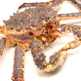 Live King Crab<br> 皇帝蟹<br> $39.99/lb