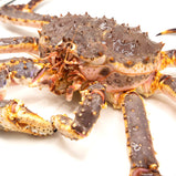 Live King Crab<br> 皇帝蟹<br> $39.99/lb