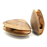 Live Surf Clams<br> 新鮮活貴妃蚌 <br> $4.99/lb