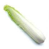 Long Napa Cabbage<br> 長紹菜<br> $1.99/lb