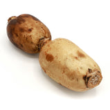 Lotus Root<br> 蓮藕<br> $1.99/lb