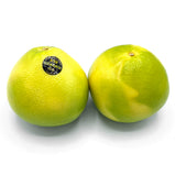 Melogold<br> 白肉柚子<br> $1.19/lb