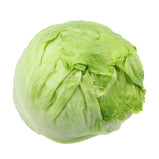 Round lettuce<br> 圓生菜