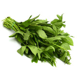 Sweet Potato Leaf<br> 番薯苗<br> $1.99/lb