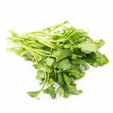 Watercress<br> 西洋菜